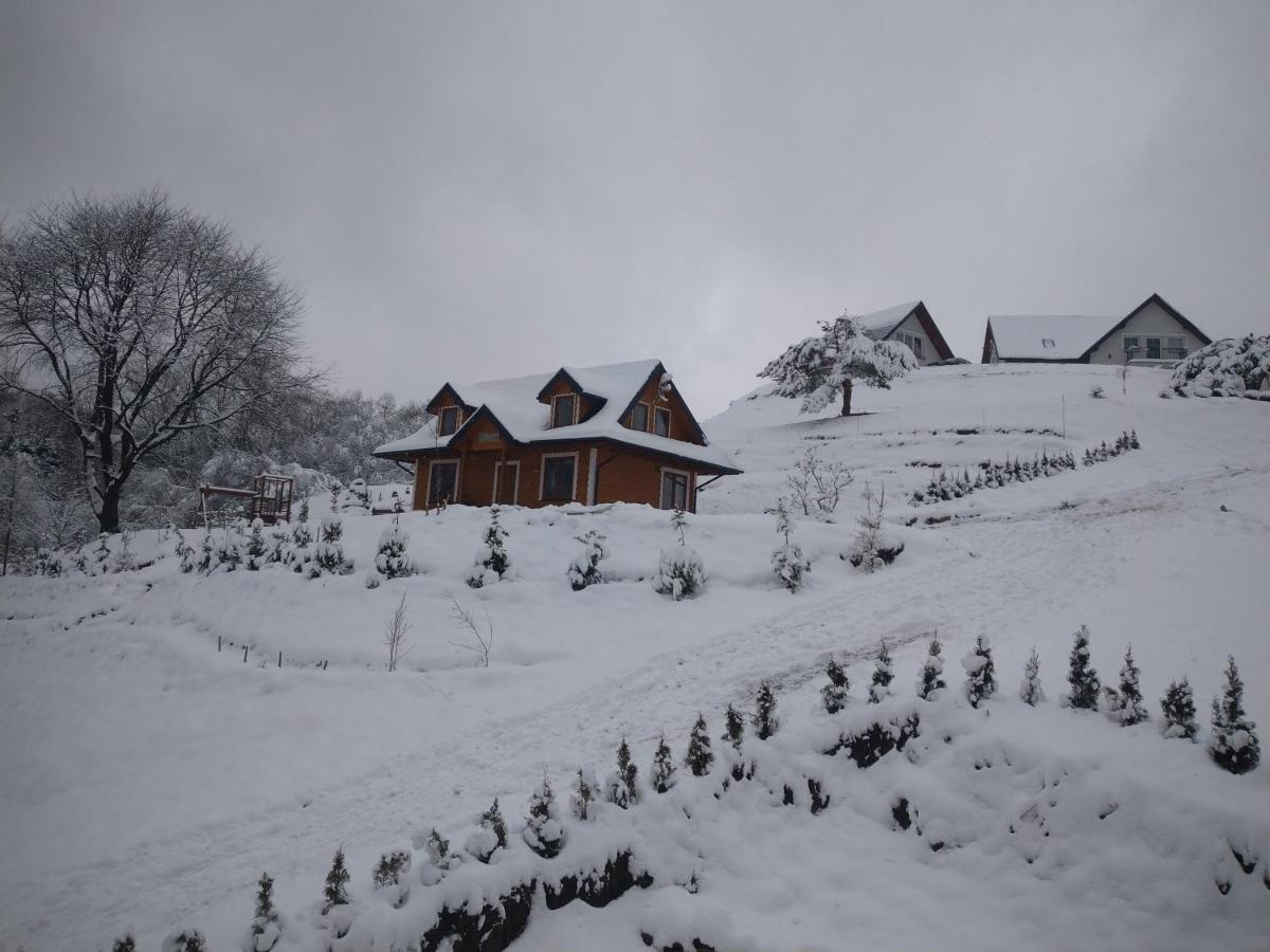 Lesny Dworek 1 โวลโคเวยา ภายนอก รูปภาพ