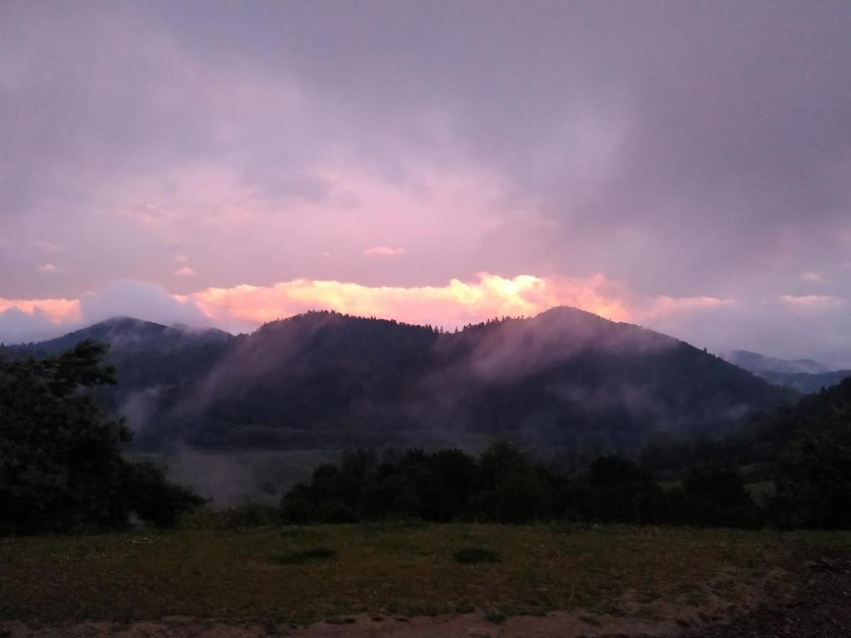Lesny Dworek 1 โวลโคเวยา ภายนอก รูปภาพ
